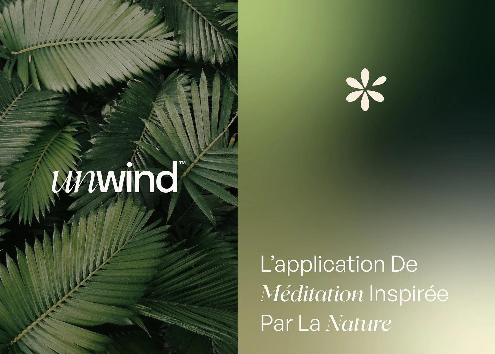 Logo Unwind sur des feuilles de palmier et accroche sur dégradé vert